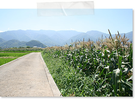 Aoyama Rika 秘められた果実-開花する官能の花園